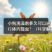 小狗洗澡后多久可以进行体内驱虫?(科学解析洗澡与驱虫的最佳时间间隔)(图4) 小狗洗澡后多久可以进行体内驱虫?(科学解析洗澡与驱虫的最佳时间间隔)(图4)