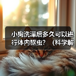 小狗洗澡后多久可以进行体内驱虫?(科学解析洗澡与驱虫的最佳时间间隔)(图3) 小狗洗澡后多久可以进行体内驱虫?(科学解析洗澡与驱虫的最佳时间间隔)(图3)