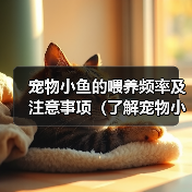 宠物小鱼的喂养频率及注意事项(了解宠物小鱼的饮食习惯,做好喂养的准备)(图4) 宠物小鱼的喂养频率及注意事项(了解宠物小鱼的饮食习惯,做好喂养的准备)(图4)