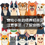 宠物小鱼的喂养频率及注意事项(了解宠物小鱼的饮食习惯,做好喂养的准备)(图3) 宠物小鱼的喂养频率及注意事项(了解宠物小鱼的饮食习惯,做好喂养的准备)(图3)