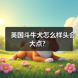英国斗牛犬怎么样头会大点？（图4）