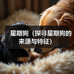星期狗(探寻星期狗的来源与特征)(图1) 星期狗(探寻星期狗的来源与特征)(图1)