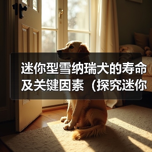 迷你型雪纳瑞犬的寿命及关键因素(探究迷你型雪纳瑞犬的预期寿命和影响因素)(图3) 迷你型雪纳瑞犬的寿命及关键因素(探究迷你型雪纳瑞犬的预期寿命和影响因素)(图3)