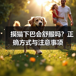 摸猫下巴会舒服吗？正确方式与注意事项（图1）
