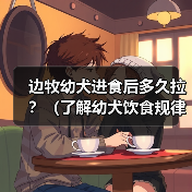 边牧幼犬进食后多久拉?(了解幼犬饮食规律,掌握适宜便便时间)(图3) 边牧幼犬进食后多久拉?(了解幼犬饮食规律,掌握适宜便便时间)(图3)