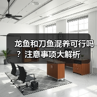 龙鱼和刀鱼混养可行吗？注意事项大解析（图2）