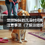 龙猫妈妈的洗澡时间和注意事项(了解龙猫妈妈洗澡的频率和正确的方法)(图1) 龙猫妈妈的洗澡时间和注意事项(了解龙猫妈妈洗澡的频率和正确的方法)(图1)