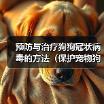 预防与治疗狗狗冠状病毒的方法(保护宠物狗免受冠状病毒感染的有效措施)(图2) 预防与治疗狗狗冠状病毒的方法(保护宠物狗免受冠状病毒感染的有效措施)(图2)