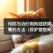 预防与治疗狗狗冠状病毒的方法(保护宠物狗免受冠状病毒感染的有效措施)(图4) 预防与治疗狗狗冠状病毒的方法(保护宠物狗免受冠状病毒感染的有效措施)(图4)