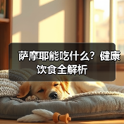萨摩耶能吃什么?健康饮食全解析(图1) 萨摩耶能吃什么?健康饮食全解析(图1)