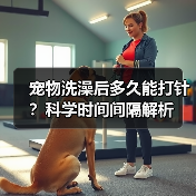 宠物洗澡后多久能打针?科学时间间隔解析(图1) 宠物洗澡后多久能打针?科学时间间隔解析(图1)