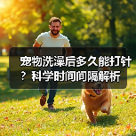 宠物洗澡后多久能打针?科学时间间隔解析(图3) 宠物洗澡后多久能打针?科学时间间隔解析(图3)