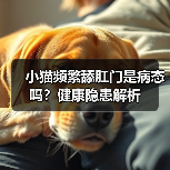 小猫频繁舔肛门是病态吗?健康隐患解析(图4) 小猫频繁舔肛门是病态吗?健康隐患解析(图4)