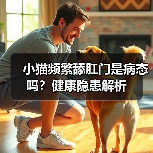 小猫频繁舔肛门是病态吗?健康隐患解析(图1) 小猫频繁舔肛门是病态吗?健康隐患解析(图1)