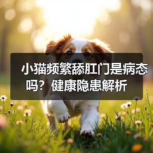 小猫频繁舔肛门是病态吗?健康隐患解析(图3) 小猫频繁舔肛门是病态吗?健康隐患解析(图3)