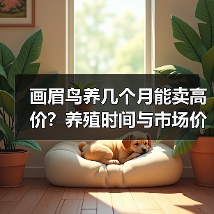 画眉鸟养几个月能卖高价?养殖时间与市场价值全解析(图1) 画眉鸟养几个月能卖高价?养殖时间与市场价值全解析(图1)