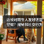 边牧对陌生人友好还是警惕？揭秘其社交行为真相（图1）