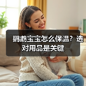 鹦鹉宝宝怎么保温？选对用品是关键（图3）