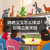 鹦鹉宝宝怎么保温？选对用品是关键（图4）