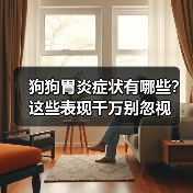 狗狗胃炎症状有哪些?这些表现千万别忽视(图1) 狗狗胃炎症状有哪些?这些表现千万别忽视(图1)