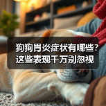 狗狗胃炎症状有哪些?这些表现千万别忽视(图4) 狗狗胃炎症状有哪些?这些表现千万别忽视(图4)
