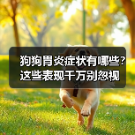 狗狗胃炎症状有哪些?这些表现千万别忽视(图3) 狗狗胃炎症状有哪些?这些表现千万别忽视(图3)