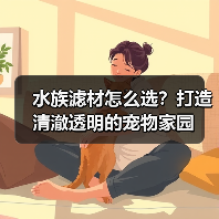 水族滤材怎么选?打造清澈透明的宠物家园(图3) 水族滤材怎么选?打造清澈透明的宠物家园(图3)