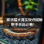 斯塔福犬真实缺点揭秘，新手养前必看！（图1）