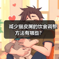 减少猫皮屑的饮食调整方法有哪些？（图1）