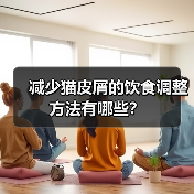 减少猫皮屑的饮食调整方法有哪些？（图3）