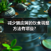 减少猫皮屑的饮食调整方法有哪些？（图4）