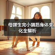 母猫生完小猫后身体变化全解析（图2）