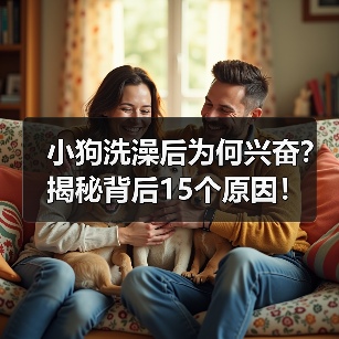 小狗洗澡后为何兴奋?揭秘背后15个原因!(图1) 小狗洗澡后为何兴奋?揭秘背后15个原因!(图1)