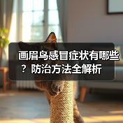 画眉鸟感冒症状有哪些?防治方法全解析(图1) 画眉鸟感冒症状有哪些?防治方法全解析(图1)
