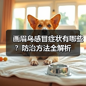 画眉鸟感冒症状有哪些?防治方法全解析(图3) 画眉鸟感冒症状有哪些?防治方法全解析(图3)