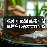 收养流浪猫前必看！健康检查和关爱管理全攻略（图3）