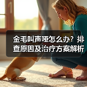 金毛叫声哑怎么办?排查原因及治疗方案解析(图3) 金毛叫声哑怎么办?排查原因及治疗方案解析(图3)