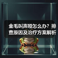 金毛叫声哑怎么办?排查原因及治疗方案解析(图4) 金毛叫声哑怎么办?排查原因及治疗方案解析(图4)