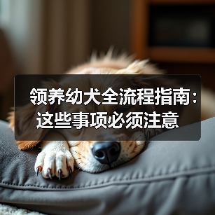 领养幼犬全流程指南：这些事项必须注意（图4）
