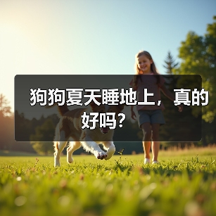 狗狗夏天睡地上，真的好吗？（图2）