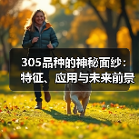 305品种的神秘面纱：特征、应用与未来前景（图3）