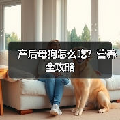 产后母狗怎么吃？营养全攻略（图4）