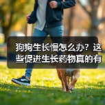 狗狗生长慢怎么办?这些促进生长药物真的有效吗?(图2) 狗狗生长慢怎么办?这些促进生长药物真的有效吗?(图2)