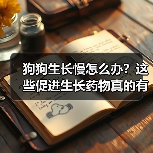 狗狗生长慢怎么办?这些促进生长药物真的有效吗?(图3) 狗狗生长慢怎么办?这些促进生长药物真的有效吗?(图3)