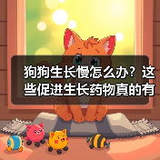 狗狗生长慢怎么办?这些促进生长药物真的有效吗?(图4) 狗狗生长慢怎么办?这些促进生长药物真的有效吗?(图4)