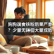 狗狗误食铁粉后果严重？少量无碍但大量或致中毒（图2）