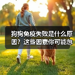 狗狗免疫失败是什么原因？这些因素你可能忽略（图3）