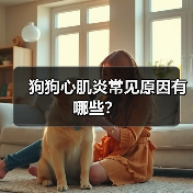 狗狗心肌炎常见原因有哪些？（图1）
