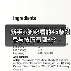新手养狗必看的45条禁忌与技巧有哪些？（图1）