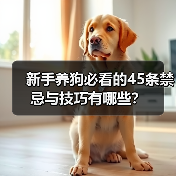 新手养狗必看的45条禁忌与技巧有哪些？（图3）